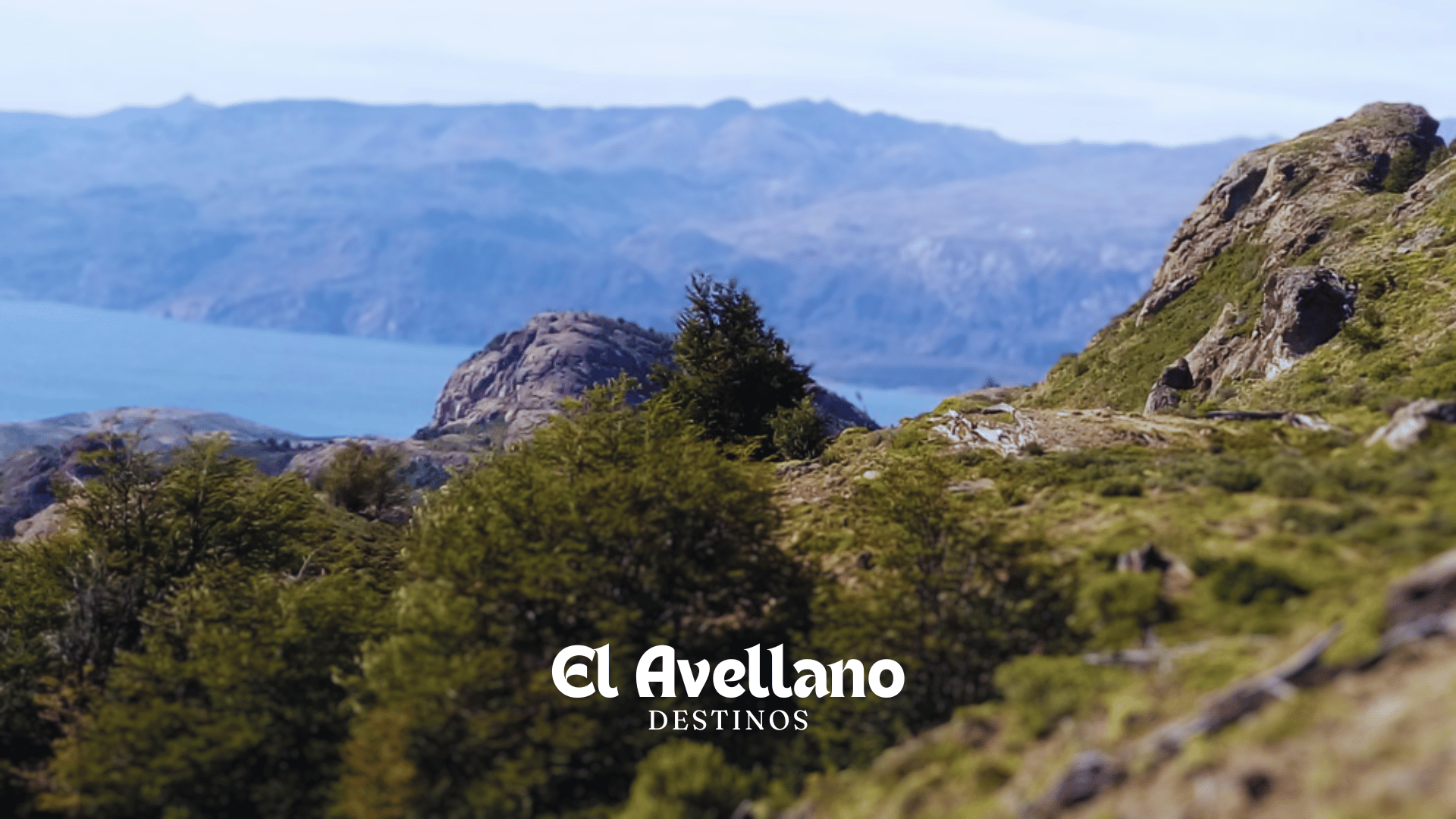 El Avellano