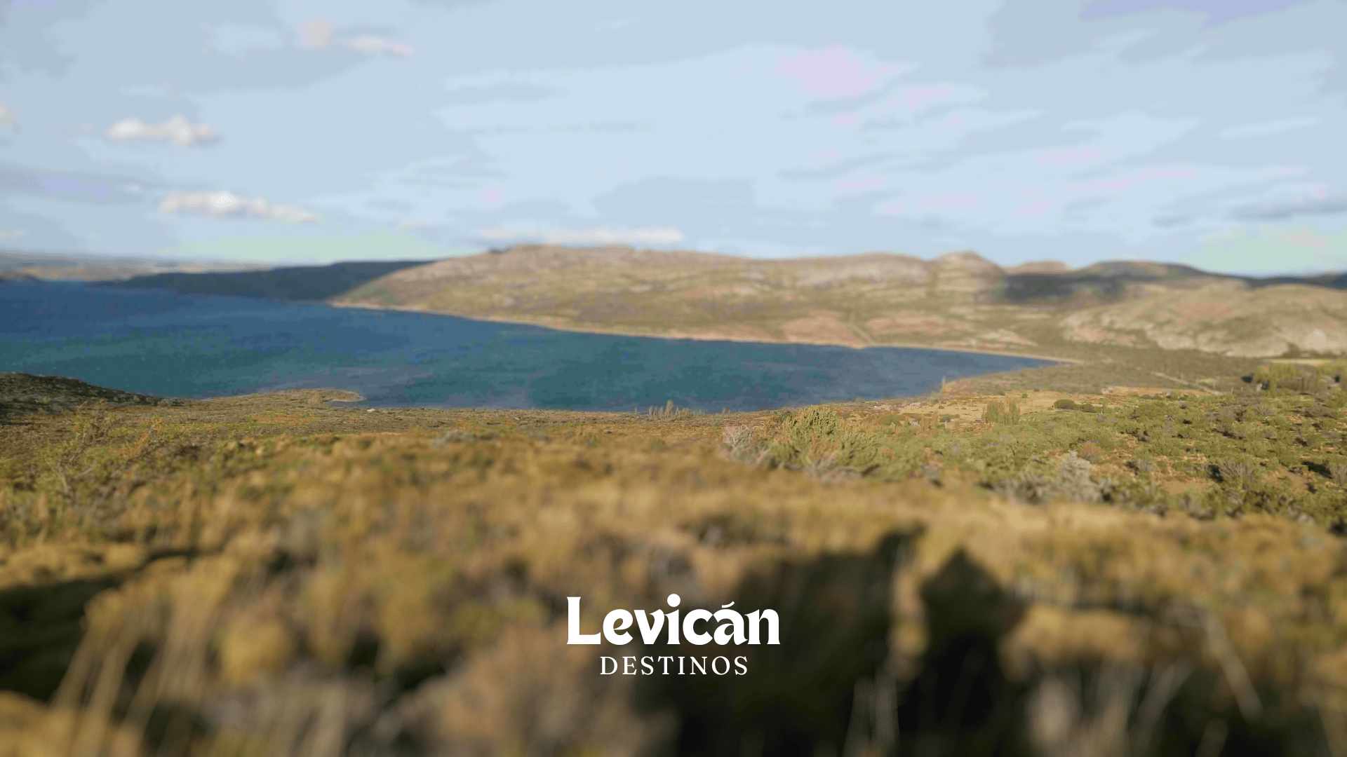 Levicán
