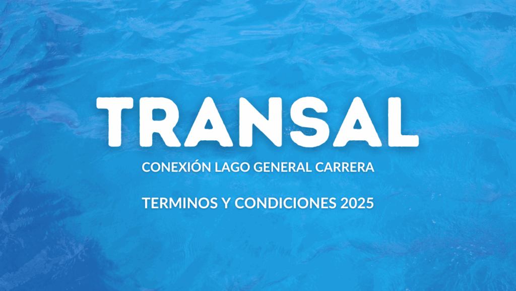 Términos y Condiciones 2025 | Transal
